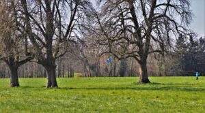 Scottsdale Fugitive Nabbed in France for 2008 Child Sex Crimes – www.mondialnews.com