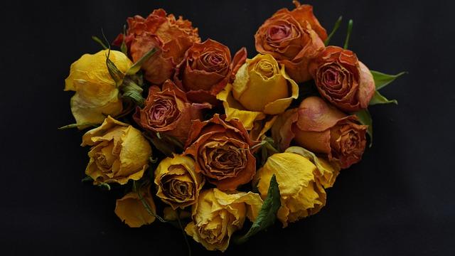 After 25 Years in the US, Man Moves to India and Reveals Surprising ‘Deal Breaker’ Keeping Wealthy NRIs Away – www.mondialnews.com