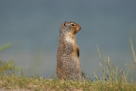Sha’Carri Richardson’s Comeback: Her Performance in the 200m at the U.S. Track and Field Championships – dallas365.info