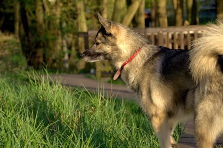 Advancing Africa’s Health Security and Sovereignty: A Bold New Path Forward – afric.news