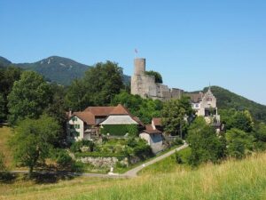 US Economy Booms in Q2 2024 – newyork365.info