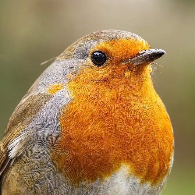 U.K. Stocks Climb 0.46%, Ending the Day on a High Note – www.mondialnews.com