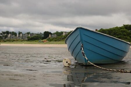 Fiery Debate Ignites Over Petition Challenging Tanzanian Episcopal Conference Leadership – afric.news