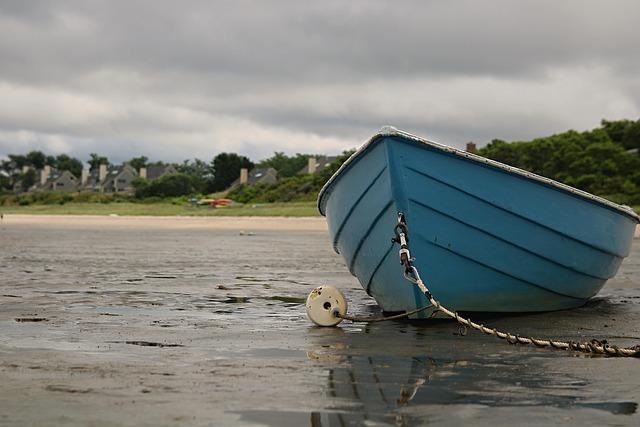 Fiery Debate Ignites Over Petition Challenging Tanzanian Episcopal Conference Leadership – afric.news