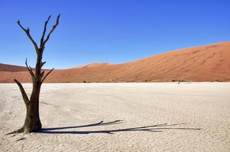 Cardiff Initiates £100m+ Legal Battle in French Courts Over Emiliano Sala’s Tragic Death – news-france.info