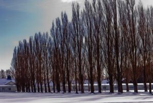 The AfD’s Alarming Revival of Nazi History: Why Moral Outrage Alone Can’t Stop the Far Right – www.mondialnews.com