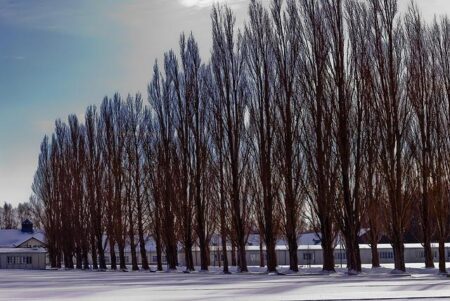 The AfD’s Alarming Revival of Nazi History: Why Moral Outrage Alone Can’t Stop the Far Right – www.mondialnews.com