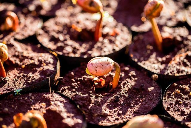 Unlocking Potential: How Higher Education Transforms the Lives of Migrants – news-france.info