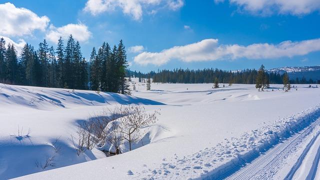 IOC Excludes ‘Crossover’ Sports Like Cross-Country and Cyclocross from 2030 Winter Olympics – athletism.info
